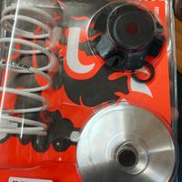 Variatore Malossi Multivar MHR per motori piaggio 