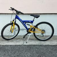 Bicicletta bimbo 24"