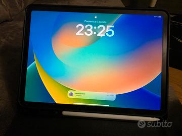 ipad pro 3 / 256 gb 