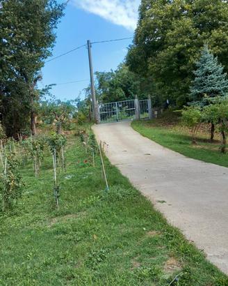 Villa unifamiliare indipendente Belsito (CS)