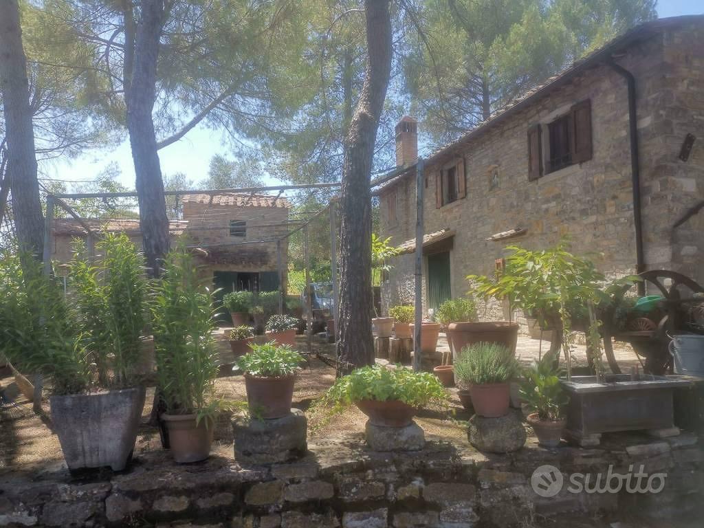 Rustico / Casale di 650 m² con più di 5 locali e b - Vista 3