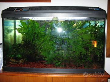 Acquario Tenerife askoll e mobile