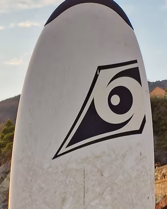 tavola surf mini nose rider 7.6
