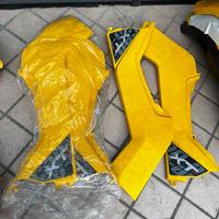 Plastiche Can-am varie