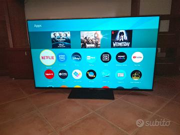 TV Panasonic 55 pollici