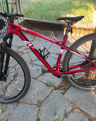 Mountain-bike RAYMOND 7.0 tagliaM
