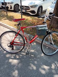 Il  velocipede rapido