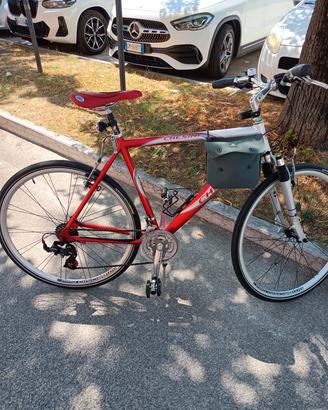 Il  velocipede rapido