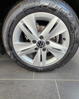 Cerchi 16" Golf 8