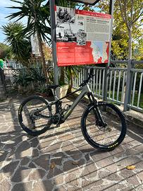 Orbea wild 2026
