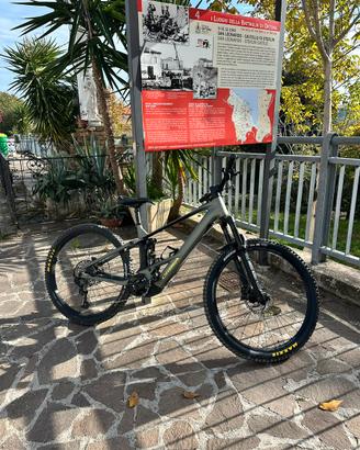 Orbea wild 2026