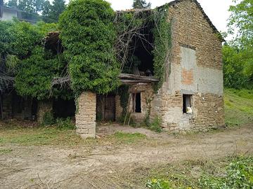 Rustico e terreni a MURAZZANO