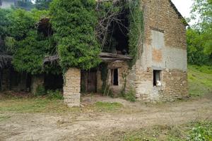 Rustico e terreni a MURAZZANO