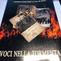 Voci nella tormenta