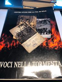 Voci nella tormenta