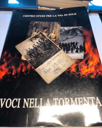 Voci nella tormenta