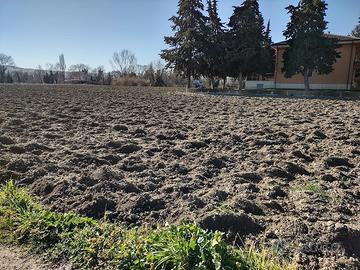 Agricolo a Jesi