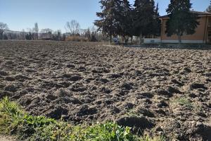 Agricolo a Jesi