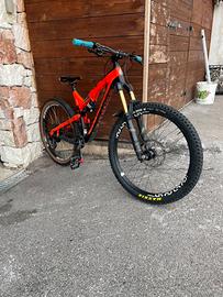 intense tracer 275