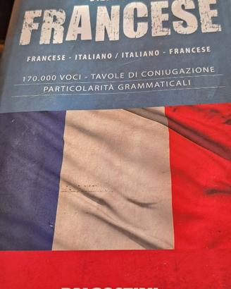 dizionario francese
