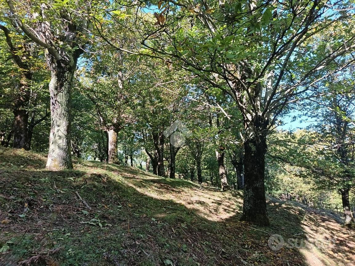 TER. AGRICOLO A SERINO - Vista 2