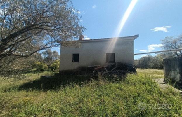 Terreno binzana ploaghe (ss) - Vista 4