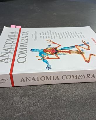 anatomia comparata 