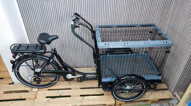 Cargo bike Canguro 2025 DOG