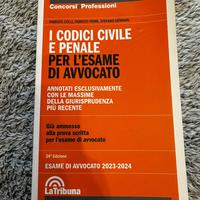 I codici civile e penale per l’esame di avvocato