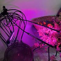 Lampada led per piante 