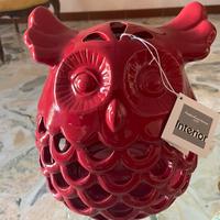 civetta portafortuna tognana Andrea Fontebassa