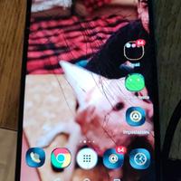2 Huawei P10 Lite funzionanti ma rotti – per ricam