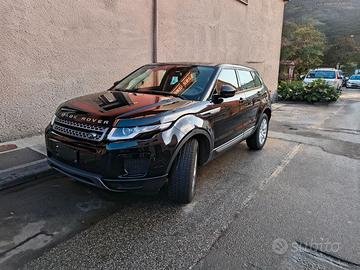 Evoque