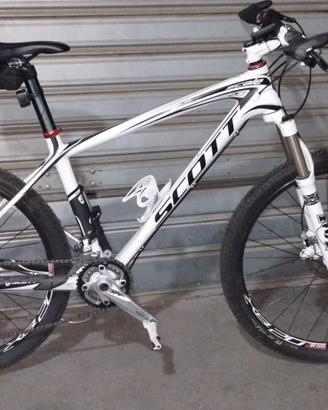 scott scale 20 carbon