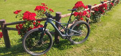 LEVO SL EXPERT IN CARBONIO