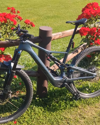 LEVO SL EXPERT IN CARBONIO