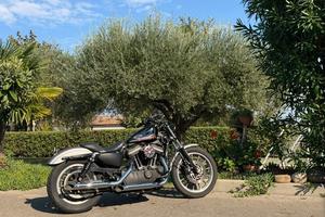 Harley-Davidson Sportster 883R anno 2007