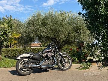 Harley-Davidson Sportster 883R anno 2007
