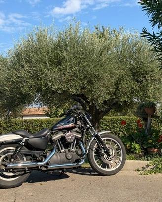 Harley-Davidson Sportster 883R anno 2007