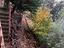 Immagine 14