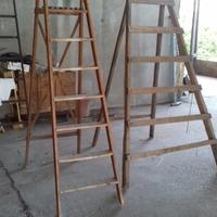 Scale campagnole '50