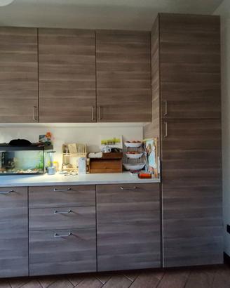 Credenza / Mobile Dispensa 244 cm - Come Nuova