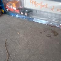 Collezione camion americani