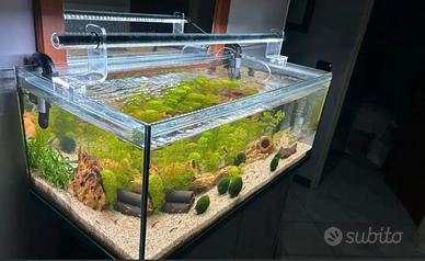 aquario di 100 litri. Nuovo