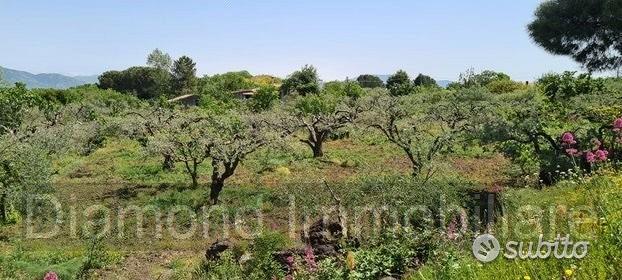 Terreno agricolo 3.200mq zona doc a castiglione - Altro