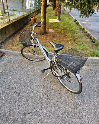 bicicletta bottecchia