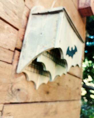 casetta per pipistrelli 