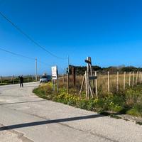 Terreno agricolo vista Saline 150m dalla spiaggia