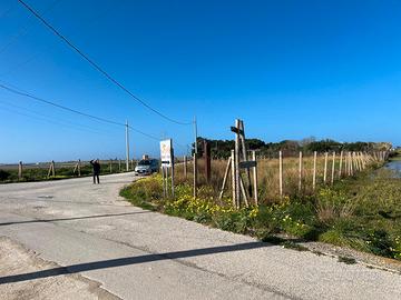 Terreno agricolo vista Saline 150m dalla spiaggia