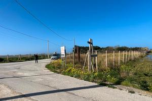 Terreno agricolo vista Saline 150m dalla spiaggia